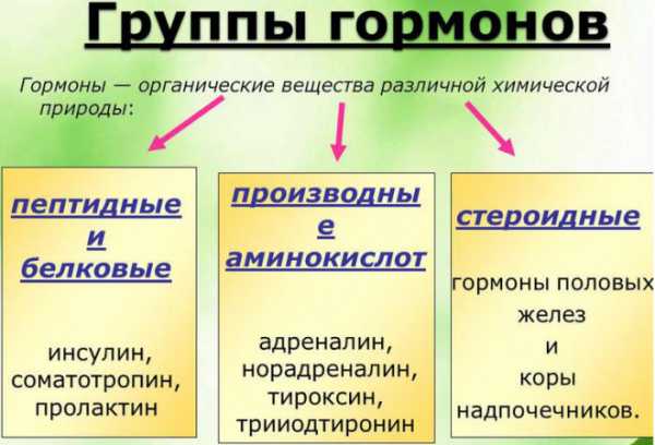 Доклад: Гормон роста